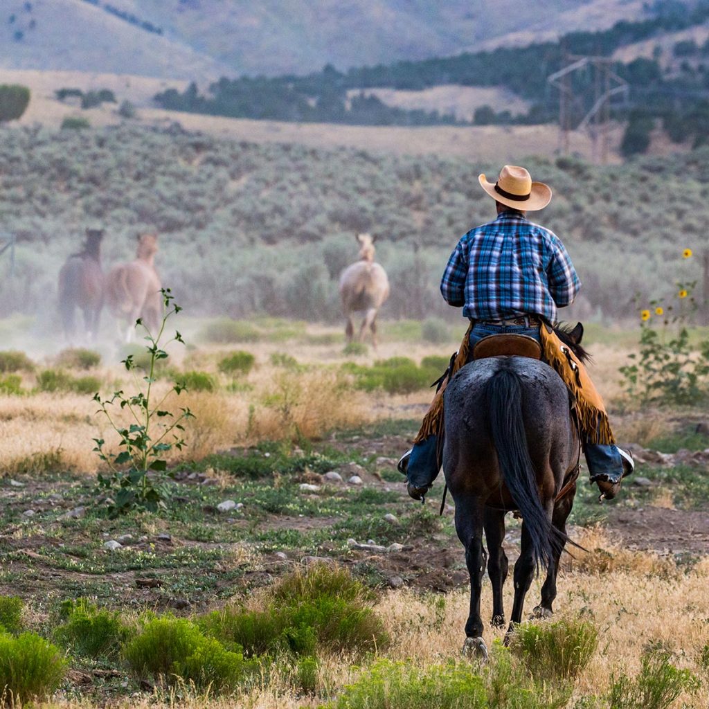 man riding horse