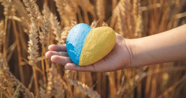 hand holding rock painted with ukraine flag colors