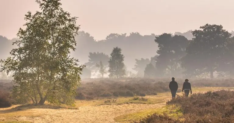 Rural Real Estate Agent