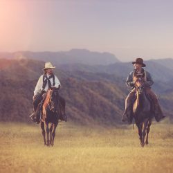 cowboy cowboy
